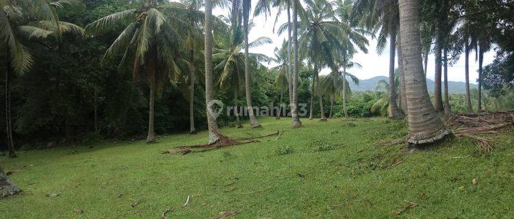 Land in Tabanan Bali Suitable for Villas Near Soka Beach 1