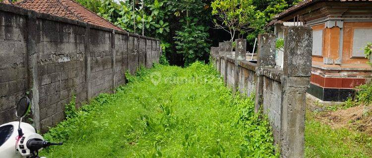 Tanah di Pasung Grigis , Gianyar SHM View Jungle  1