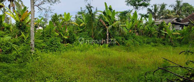 Tanah Tegallalang View Jungle Dekat Pasar Dan Waterfall 1