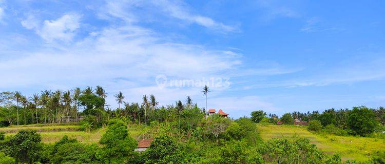 Tanah Sukawati Gianyar Bali View of Eternal Jungle Valley and River  1