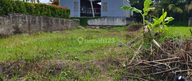 Tanah Pejeng Gianyar Bali Sebelah Resort View Sawah 1