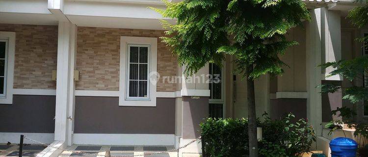 Rumah,sewa, Bagus - Bsd The Savia-lt72m2,lb78m2 1