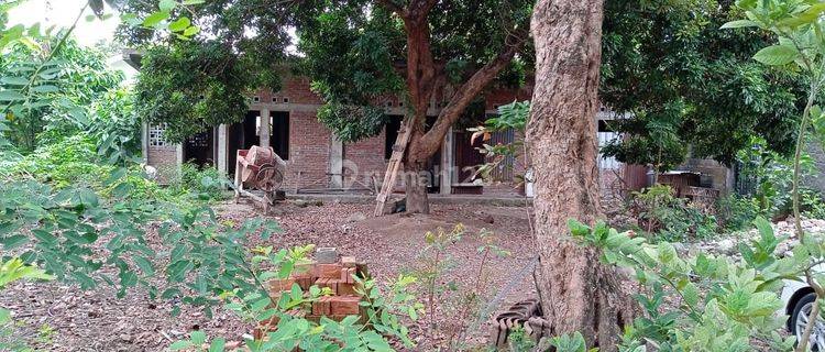 Tanah Kavling Siap Bangun Lokasi Strategis Dekat Kampus di Yogyakarta  1