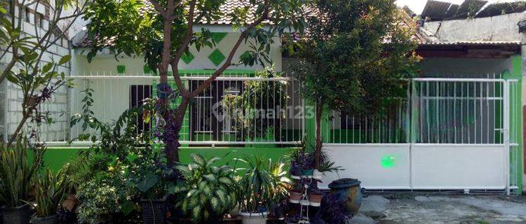 Rumah Bagus Siap Huni Perumahan Sekardangan Sidoarjo 1