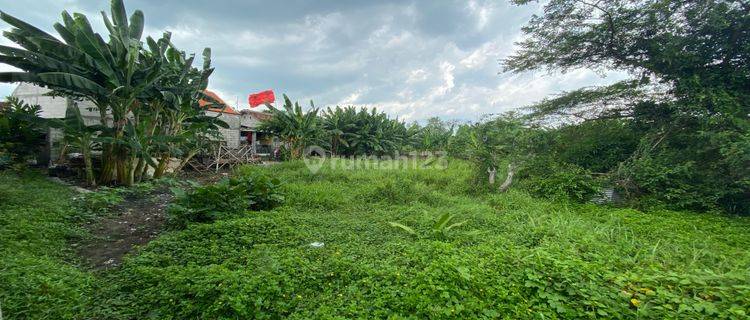 Tanah Strategis Maliogoro Jalan Thamrin Siap Bangun Bojonegoro 1