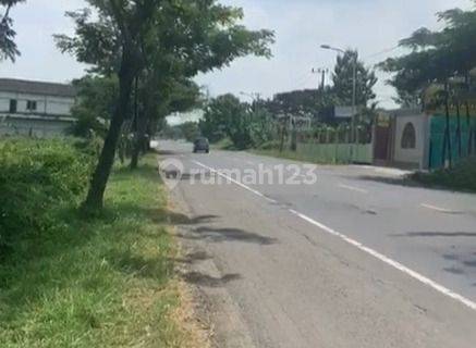 Tanah Prospek Bagus Raya Pantura Babat Lamongan 1