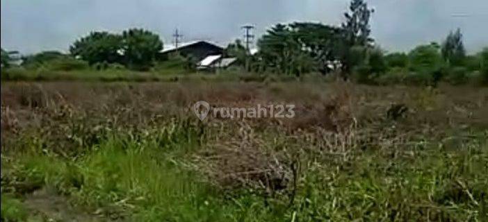 Tanah Siap Bangun Lokasi Bagus Strategis Di Kawasaan Zona Industri Widang Tuban 1