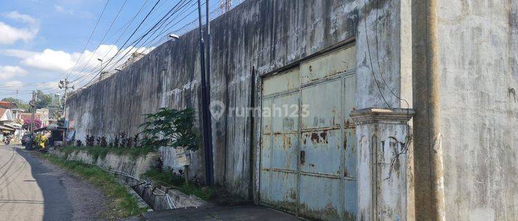 Rumah Sarang Burung Walet Fasilitas Lengkap Di Lumajang 1