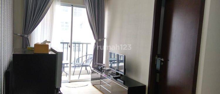 Dijual Dan Disewakan Apartemen Saveria S10 29 1 Br , Bsd Rin 1