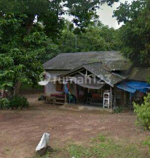 Dijual Tanah Kebun Cempedak Luas 3600 di Banjar Baru, Kal Sel Oki 1