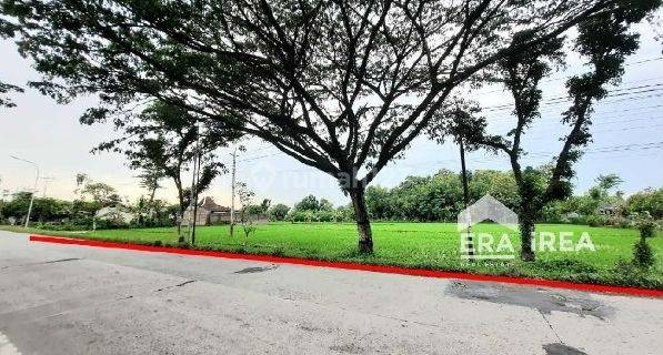 Jual Tanah Akses Kontainer di Miri, Sragen, Cocok Untuk Gudang 1