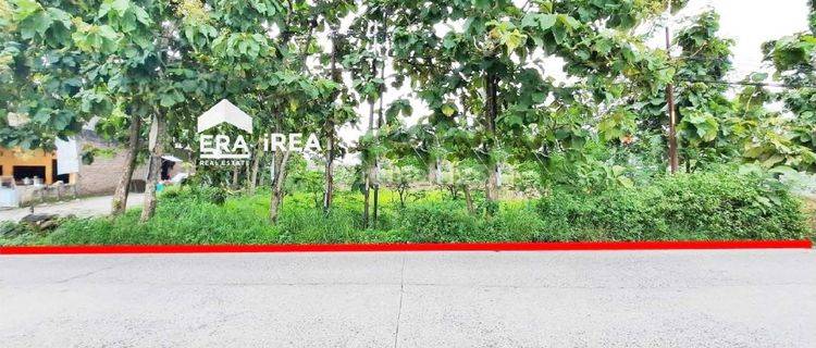 Tanah Dijual di Ngargorejo Ngemplak Boyolali Dekat Waduk Cengklik 1