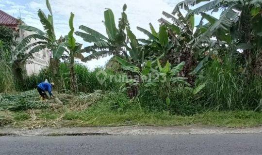 Tanah kosonh murah dekat Kampus UII SLEMAN Tanah 1