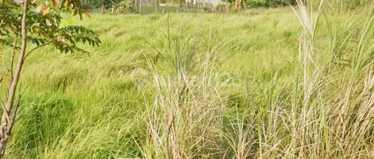 Jual cepat..BU.. property di Jl Trimulyo sayung , Semarang 1