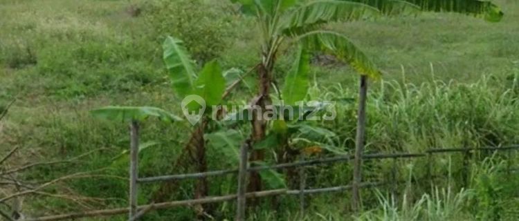 Jual cepat ...BU... property SHM JL Raya Onggorawe, Sayung, Demak (zona Industri)  Semarang jawa tengah  1