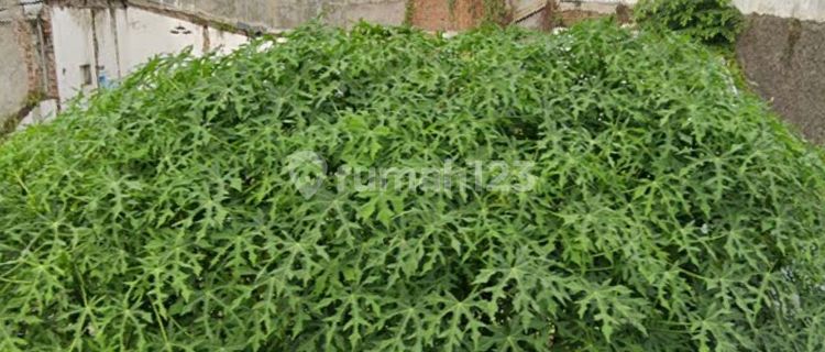 Dijual cepat BU, tanah di JL Karimata Raya Semarang  1