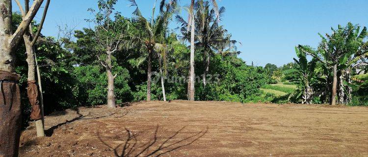 Land for rent, 30,000m2, view of rice fields and river, near Ubud, Bali 1