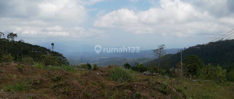 Tanah Luas 64.000m2, Shm,view Laut Gunung, Munduk, Buleleng, Bali 1