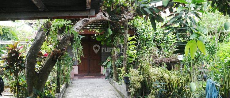 Land Near the Beach, 1,400m2, Sea View, in Berawa, Canggu, Bali 1