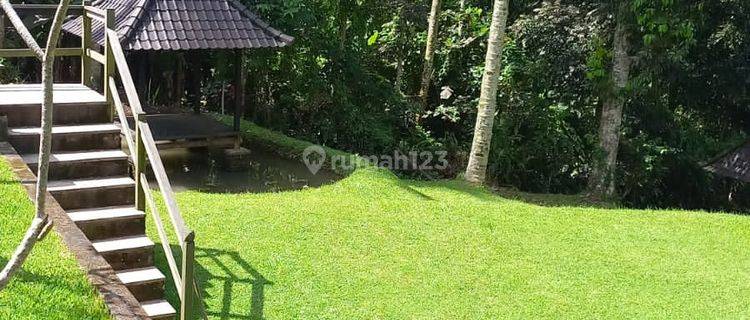 Villa Dijual, 3 Kamar Tidur, Lahan 11.100m2, Petang, Badung, Bali 1