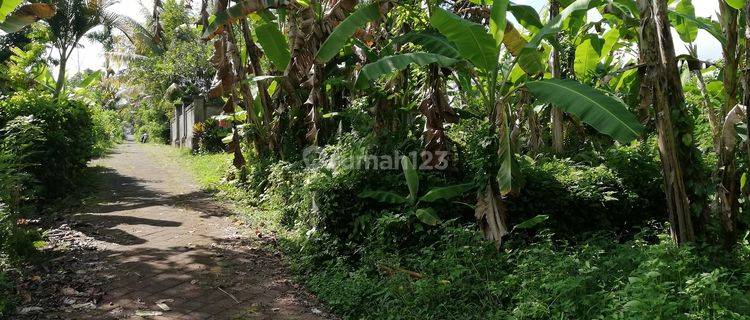 Tanah Luas 210m2, Shm, View Sawah, Carangsari, Badung, Bali 1