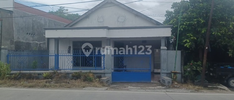 Strategic & Commercial House on the Edge of Purwodadi Road (Grobogan) Full of Swallow Nests 1
