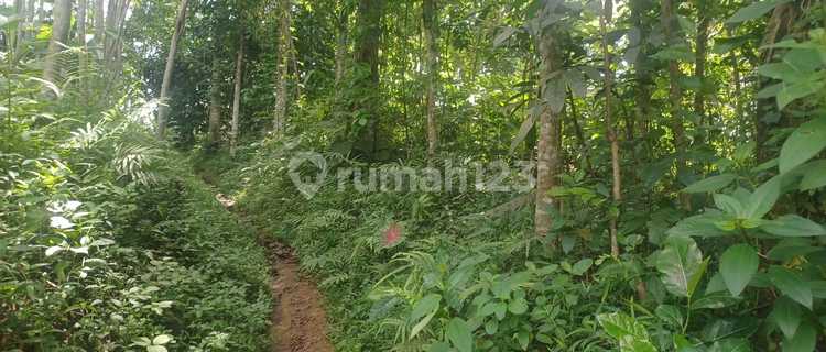Tanah di Ungaran investasi masa depan 1