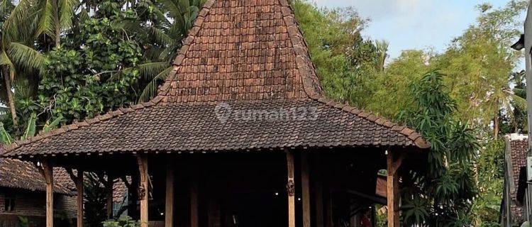 Tanah Kosong Dijual Di Turi, Sleman, Yogyakarta  1