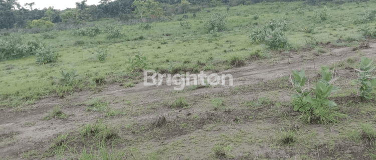 TANAH DI SUMBA BARAT DAYA NUSA TENGGARA TIMUR 1