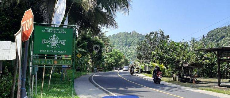 Tanah luas cocok untuk kebun atau cottage di Kab Pangandaran  1