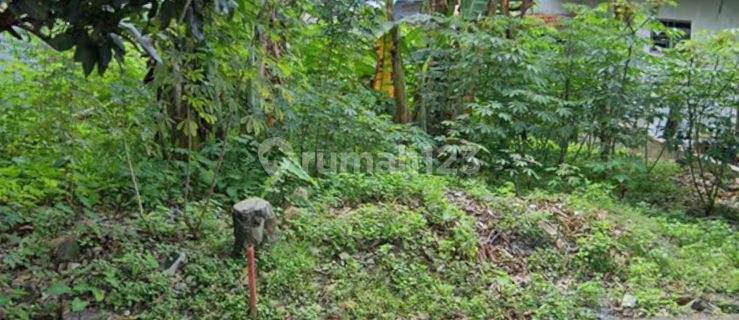Tanah Siap Bangun Sanggung Barat Jatingaleh Jangli Candisari 1