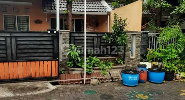 Rumah Siap Huni Plamongan Indah  1