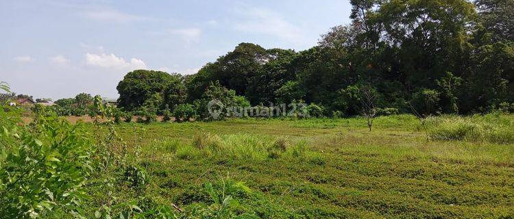 Tanah Hutan Kota Belanda Strategis Di Jejalenjaya Tambun Utara Bekasi 1