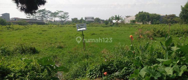 Tanah 3 Kavling Matang Siap Bangun Dekat Summarecon Bandung  1