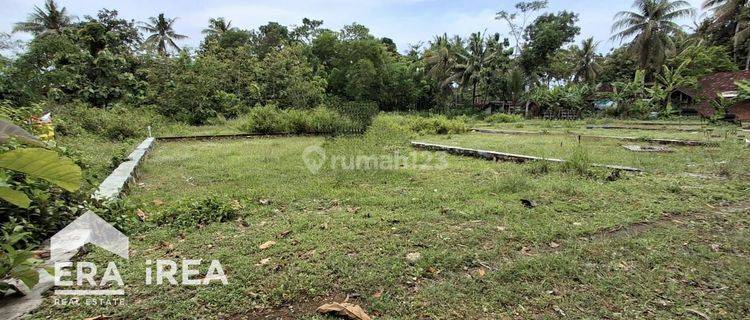 Jual Tanah Kavling Di Kulon Progo Dekat Kampus Uny Wates 1