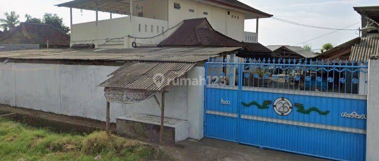 DIJUAL TANAH DAN BANGUNAN DI BULELENG, BALI UTARA 1