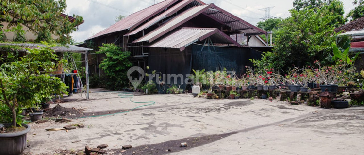 House & Warehouse 2518 Square Meters Near Grabah Museum Sewon Bantul 1