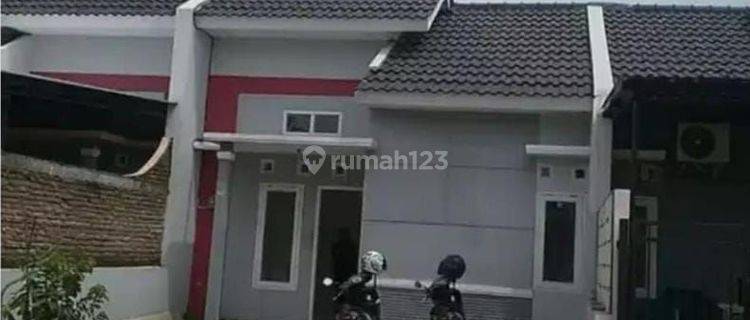 Rumah tlogosari di Muktiharjo, tlogosari semarang SHM Bagus 1