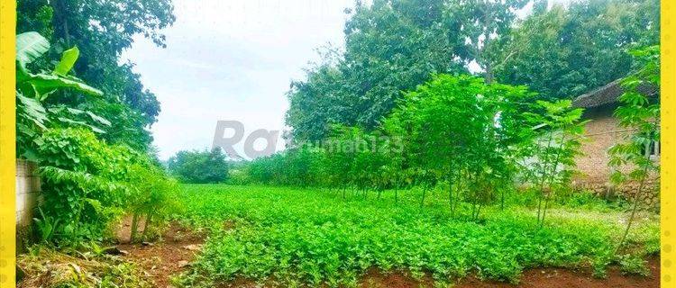 Tanah Tasikmadu Shm Karang Jatenganyar 1