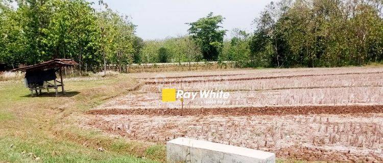 Dijual Tanah di Selogiri, Wonogiri 1