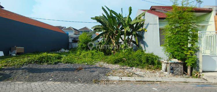 Tanah Wonorejo Selatan Sudah Urug Hadap Selatan Dekat Sd Khodijah. Row Jalan Depan 2 Mobil Sudah Paving. Dekat Merr, Pintu Tol, Bandara Juanda 1