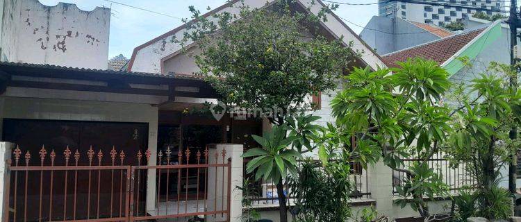 Bisa Beli Setengah Atau Utuh. Rumah Manyar Hitung Tanah, Sudah Split 2 Kavling. Hadap Timur. Row Jalan 2 Mobil 1
