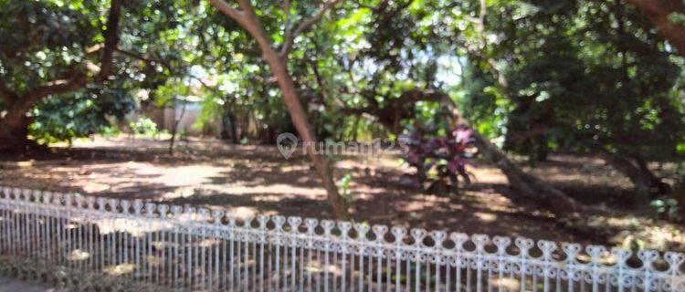 Tanah  komercial  di  jalan  besar antara semarang  - Solo, cocok  buat  hotel rumah sakit dan  bisnis lainya  1