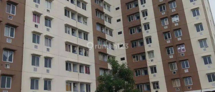 Toko Tempat Usaha di Apartemen Menara Rungkut  1