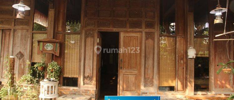 Rumah Joglo Artistik Bermaterial Kayu Jati  di Kawasan  Dekat ITS 1