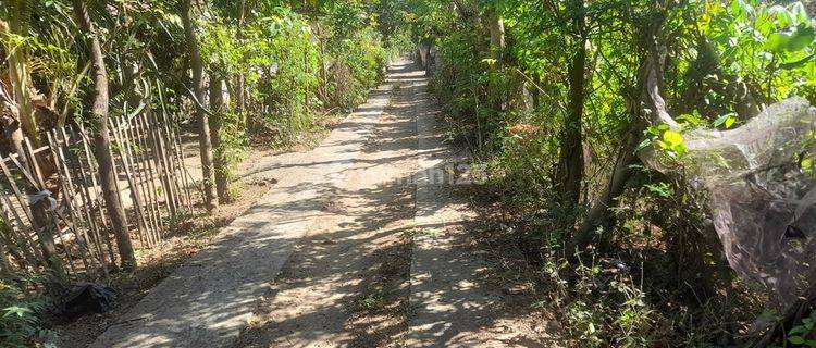 Tanah Dekat Pantai Sumeberkima Buleleng Bali Tsgr24 1