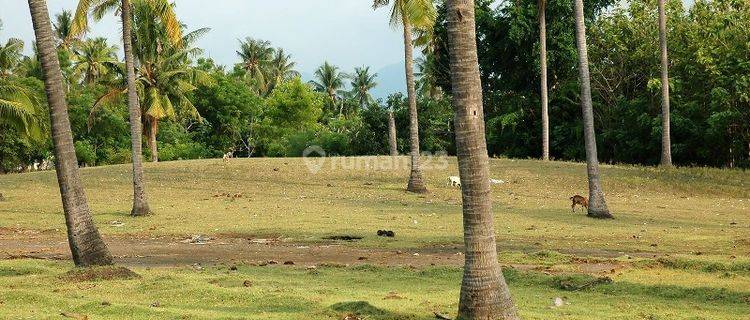 Tanah Depan Pantai Sumberkima Buleleng Bali wytsgr236  1