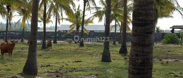 Tanah Dekat Pantai Sumberkima Buleleng Bali wytsgr236  1