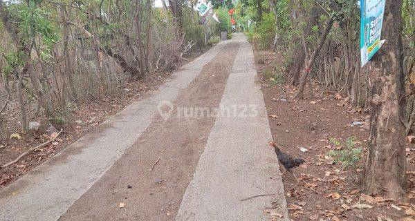 Tanah Sumberkima Dekat Bandara Letkol Wisnu Smtsgr8  1