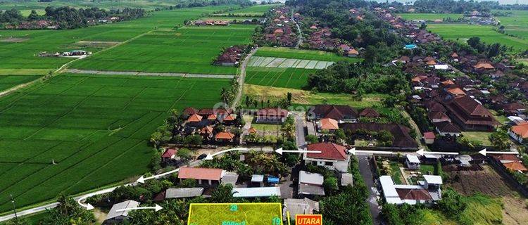 Tanah Kelating Tabanan Dekat Sawah Emttbn13  1